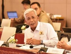 Stok Beras Nasional Capai 4 Juta Ton, DPR Ingatkan Antisipasi Lonjakan Harga Jelang Idulfitri