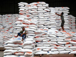 Produksi Beras Meningkat, Bulog Sewa Gudang Tambahan di Konawe Selatan