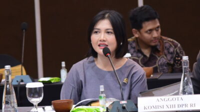 Cegah Virus Hanta, Komisi IX DPR RI Minta Pengawasan Kapal Pesiar Diperketat