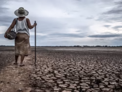 Ilmuwan Prediksi Super El Nino 2026 Berpotensi Lampaui Intensitas Tahun 1997