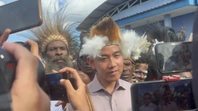Respons Penahanan Roy Suryo dan Dokter Tifa, Wapres Gibran: Ikuti Proses Hukum dan Semoga Segera Sembuh