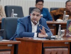 DPR Peringatkan Karhutla Juga Ancam Orang Utan & Bekantan