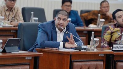 DPR Peringatkan Karhutla Juga Ancam Orang Utan & Bekantan