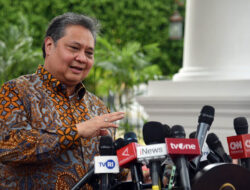 Kejar Target Prabowo, Airlangga Rayu China Investasi Proyek PLTS 100 GW di Indonesia