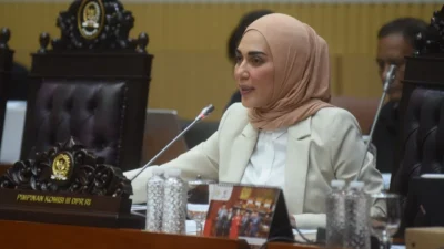 Kapasitas APBN Terbatas, Wakil Ketua DPR Dorong Optimalisasi Aset Digital untuk Infrastruktur