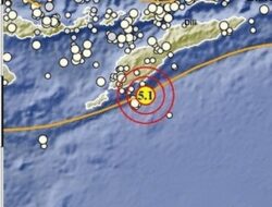 Gempa M 5,5 Guncang Kupang NTT, BMKG Imbau Warga Waspadai Susulan