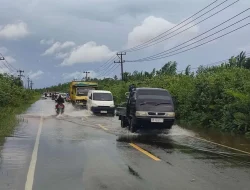 BMKG Ungkap Kota yang Berpotensi Hujan dan Berkabut Hari Ini