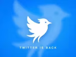 Operation Bluebird Luncurkan Platform Twitter Baru sebagai Pesaing X