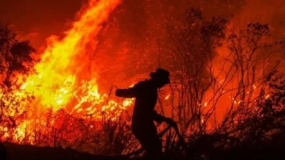 Kebakaran Hutan dan Lahan di Kalteng Meluas, BNPB Catat 3.947 Titik Panas dan 7.634 Hektar Terbakar