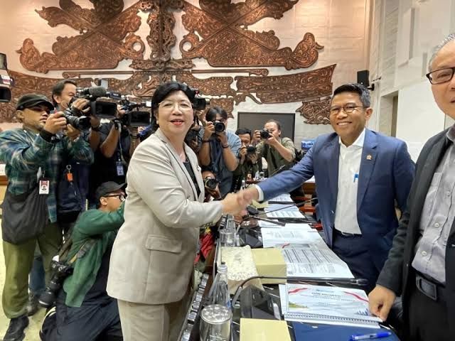 DPR Setujui Destry Jadi Gubernur BI, Aida DGS