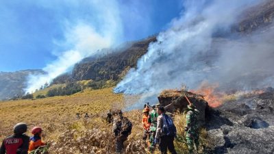 Prabowo Beri Instruksi Khusus, Pemerintah Pusat Dukung Pemadaman Karhutla Bromo!