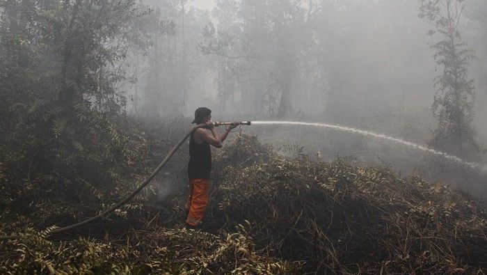 Bareskrim Polri Seret 162 Tersangka Pembakar Hutan, Puluhan Perusahaan Terancam Pidana Korporasi!