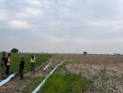 Sawah Bekasi Kekeringan, Tiga Pompa Dikerahkan