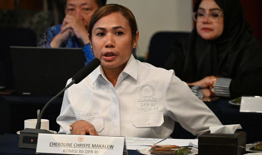 Sentil TPA Kebakaran di Papua, Cheroline Makalew Minta Pejabat Turun Langsung ke Lapangan!