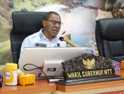 Merasa Terancam, Sejumlah Warga NTT di Papua Minta Dipulangkan ke Kampung Halaman