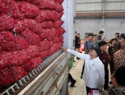 Zulhas : Bawang Merah Brebes Tembus Pasar Thailand