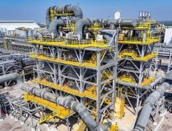 Freeport Targetkan Tambang Pulih, Produksi Naik Bertahap