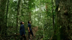 Wamenhut Dorong Hutan Jadi Sumber Kesejahteraan Warga